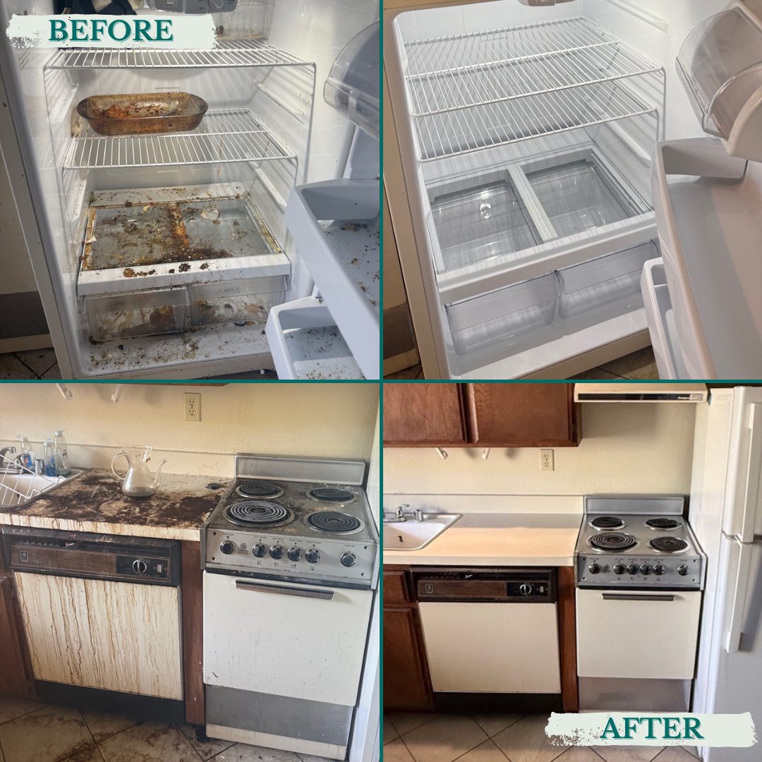 Inside the fridge for move-out
